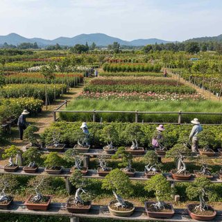 화훼작물 재배업