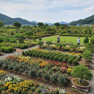 화훼작물 재배업