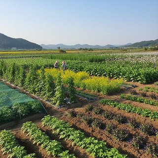 기타 작물 재배업