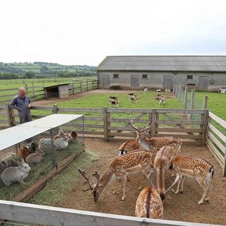 그 외 기타 축산업(사슴, 토끼, 개)