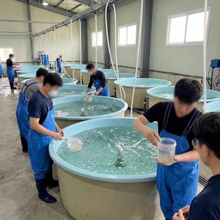 수산물 부화 및 수산 종자 생산업