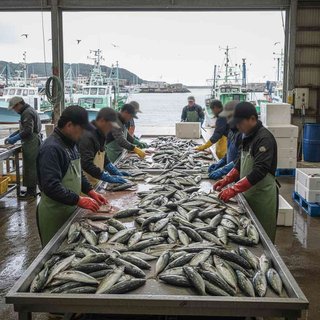 어업 관련 서비스업