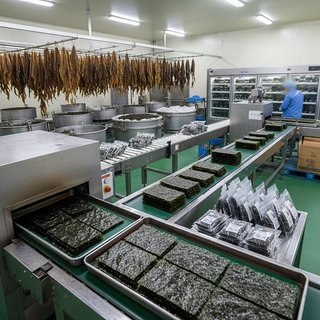 수산식물 가공 및 저장 처리업