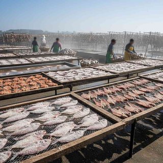 수산동물 건조 및 염장품 제조업