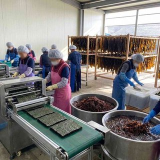 수산식물 가공 및 저장 처리업