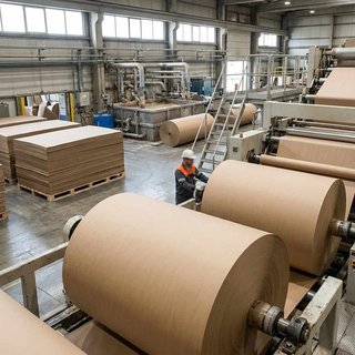 골판지 원지 제조업, 크라프트지 및 기타 상자용 판지 제조업