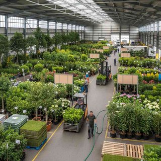 화훼류 및 식물 도매업